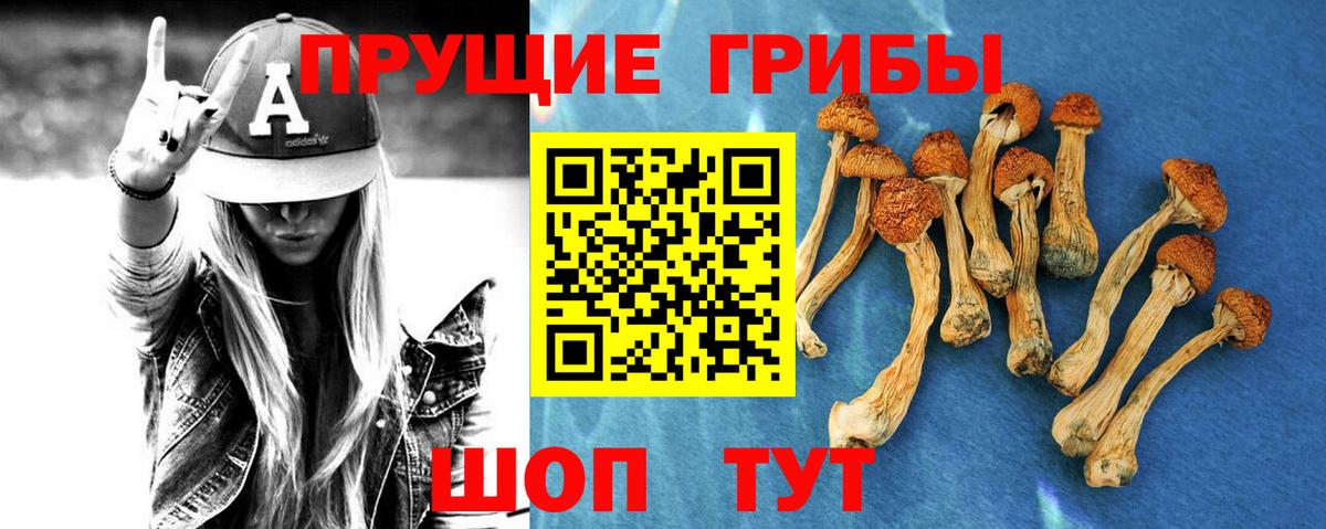где найти   Вход с VPN  Таганрог  Галлюциногенные грибы ЛСД 